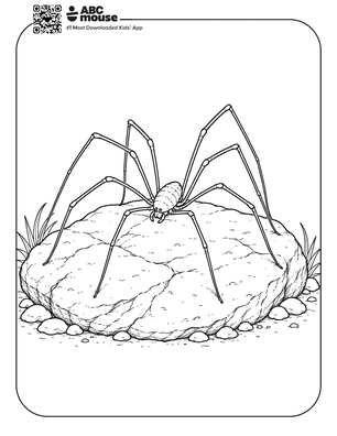 Harvestman spider coloring page for kids from ABCmouse.com.