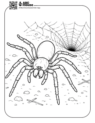 Funnel-web spider coloring page for kids from ABCmouse.com.