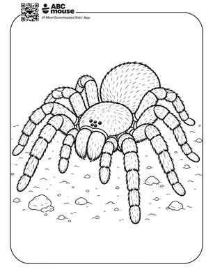 Tarantula spider coloring page for kids from ABCmouse.com.