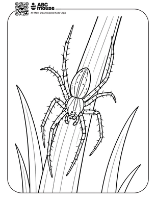 Grass spider coloring page for kids from ABCmouse.com.