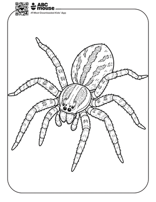 Wolf spider coloring page for kids from ABCmouse.com.
