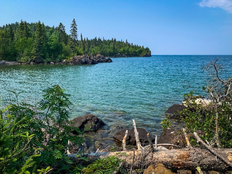 Turquoise lake by a forested shoreline with rocks and driftwood in the foreground.